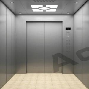 Ascensors de passatgers competitius